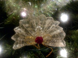 winnipeg-20140103-00568-lace-fan-on-tree